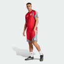 Camisa Treino Competition SC Internacional 26