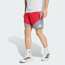 Shorts Competition Downtime SC Internacional 26