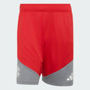 Shorts Treino Competition SC Internacional 26